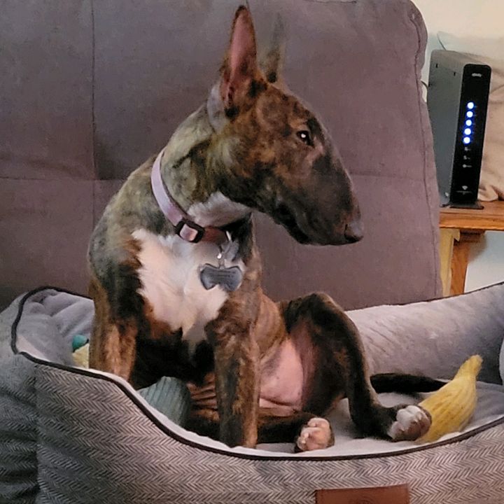 Profile Picture of Brandon Sistrunk (@brandonsistrunk) on Tiktok