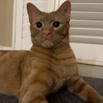 Cooper Phillips - Instagram Profile Picture of Cooper Phillips (@cooperwaynewon) on Instagram