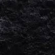 Profile Picture of Sam Brock (@sambrock5545) on Youtube