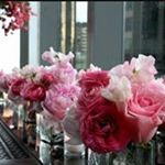 Profile Picture of Amira Safwat Samaha (@amirasafwatsamaha) on Instagram