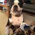 Profile Picture of Dave Burnett (@dave.burnett.568) on Facebook