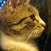 Profile Picture of James Lassiter (@james.lassiter.771) on Facebook
