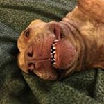 Profile Picture of james grube (@james.grube) on Instagram