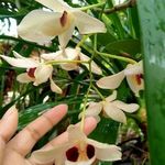 Profile Picture of Ian Collier (@iancollier69) on Instagram