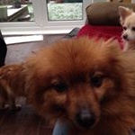 Profile Picture of Damien Preston (@prestondamien) on Instagram