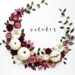 Profile Picture of Sandie Tarkington-Coburn (@sandiecoburn) on Instagram