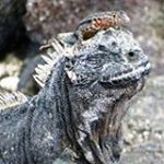 Profile Picture of John Poulter (@jpramblers) on Instagram