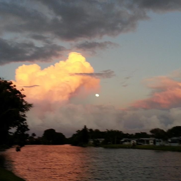 Profile Picture of Ellen Bonaiuto (@ellenbonaiuto) on Poshmark