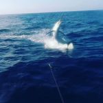 Profile Picture of Brock Peter Holden (@team_adrenaline_rush) on Instagram