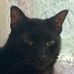 Profile Picture of Virginia Schaefer (@virginia.schaefer.5243) on Facebook