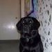 Profile Picture of Joe Jindra (@joejindra) on Pinterest
