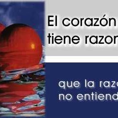 Profile Picture of Nely López (@NelylopezNelyz) on Twitter