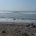 Profile Picture of William Jaramillo (@william.jaramillo.144181) on Instagram