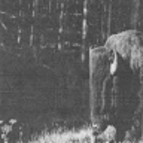 Profile Picture of Kyle Falzone (@kylefalzone) on Poshmark