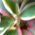 Yolanda Ferrer - Instagram Profile Picture of Yolanda Ferrer (@yolanda.ferrer.31392) on Instagram