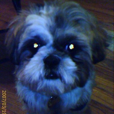 Jason Chuon - Twitter Profile Picture of Jason Chuon (@@MightyJayOne) on Twitter