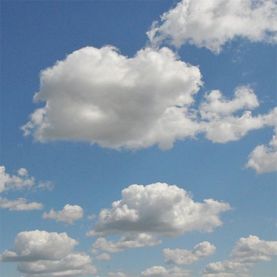 Profile Picture of Renee Ramsey (@RamseyPassmor) on Twitter