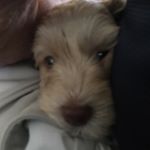 Profile Picture of Roberta Nolan (@robertanolan66) on Instagram