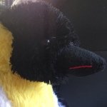 Profile Picture of Eugene Baxter (@eugene_is_a_penguin) on Instagram