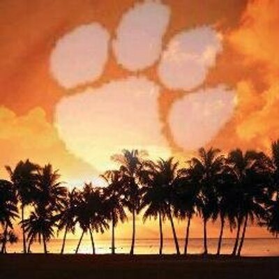 Profile Picture of Sal Argento (@cutigerdad283) on Twitter