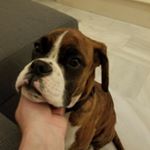 Profile Picture of Francesca Renee Segrest (@heyyyitsfranki) on Instagram