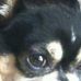 Profile Picture of Russ Cason (@russ.cason.7) on Facebook