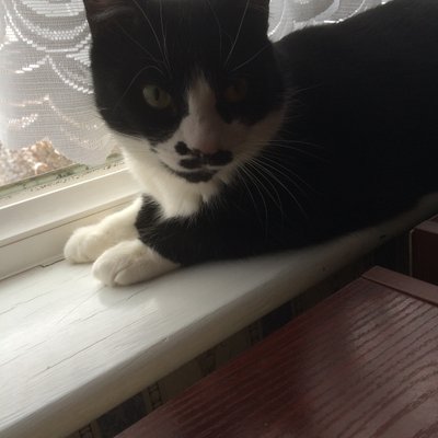 Profile Picture of James Tricker (@ItsJimTricker) on Twitter