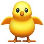 Profile Picture of usecheep (@usecheep) on Instagram