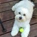 Profile Picture of C Dawn Hahn (@cdawnhahn) on Pinterest