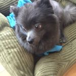 Profile Picture of Isaac Shin (@isaac.shin) on Instagram