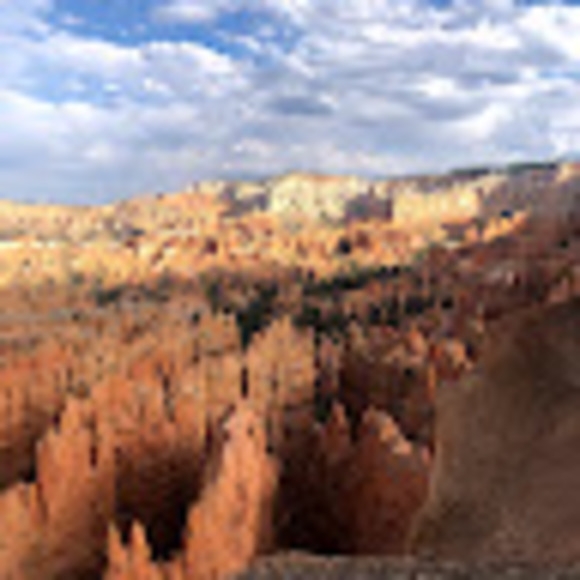 Profile Picture of Lisa Shields (@lshields1995) on Poshmark