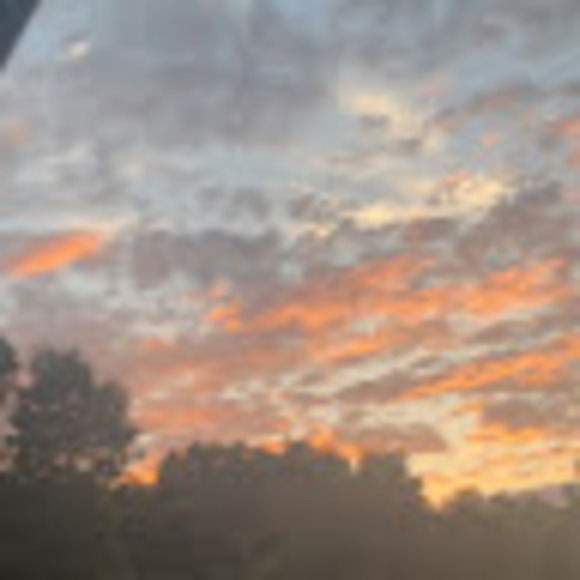 Emma Majewicz - Poshmark Profile Picture of Emma Majewicz (@emma_majewicz) on Poshmark