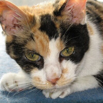 Profile Picture of Monty Parker (@montyparker) on Twitter