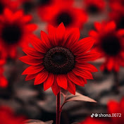 Profile Picture of Thanda Soe (@THANDAPPP) on Youtube