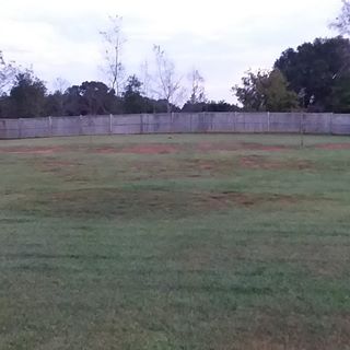 Profile Picture of Jetty Wickliffe (@Jetty-Wickliffe) on Facebook