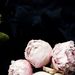 Profile Picture of Kim Lubenko (@Lubenko1) on Pinterest