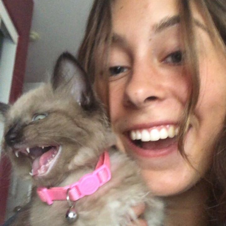 Profile Picture of Lauren Buckley (@@laur.buck) on Tiktok