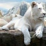 Profile Picture of Antonio Pagliarulo (@antonio.pagliarulo.988) on Instagram