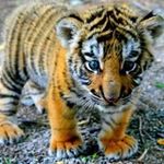 Jeremy Pavia - Instagram Profile Picture of Jeremy Pavia (@pavia.jeremy) on Instagram