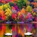 Profile Picture of Rojko (@imajennative) on Pinterest