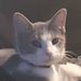 Profile Picture of Michael Crace (@rcrace4242) on Pinterest