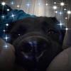 Profile Picture of Kelly Heaton (@@kellyheaton76) on Tiktok