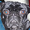 Profile Picture of scott stephan (@s.stephan63@yahoo.com) on Flickr