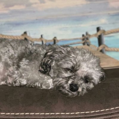Profile Picture of Dave Devore (@DaveDevore3) on Twitter