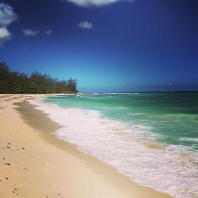 Profile Picture of James Beaty (@james_beaty1) on Twitter