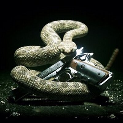 Profile Picture of Aaron Goss (@aaronboss01) on Twitter