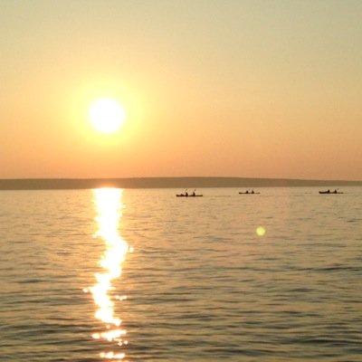 Lisa Hoger - Twitter Profile Picture of Lisa Hoger (@HogerLisa) on Twitter