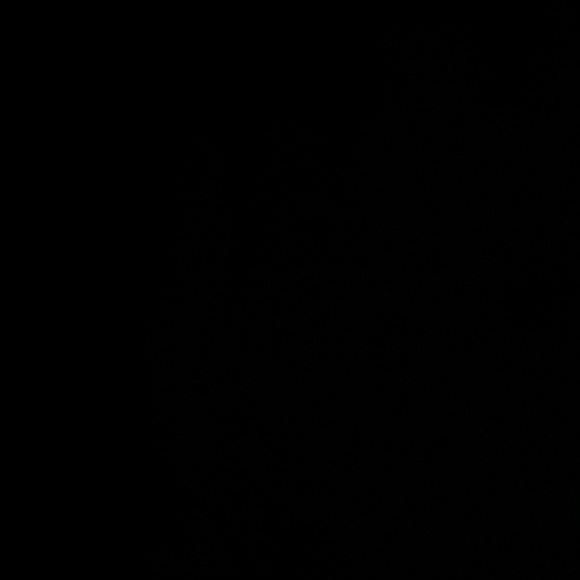 Profile Picture of Hailey Jentz (@haileyjentz) on Poshmark