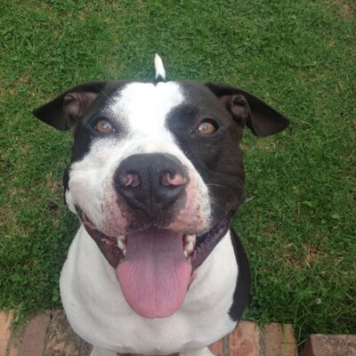 Profile Picture of Bryan Salgado (@bryansalgado22) on Twitter