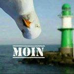 Profile Picture of Iris Kraus (@iris.k.2007) on Instagram